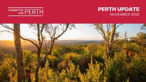 Perth Update Feature November 25
